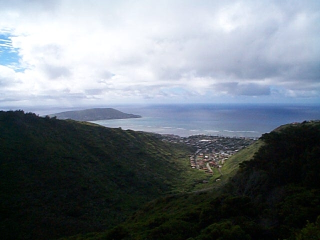 niuvalleypic.jpg