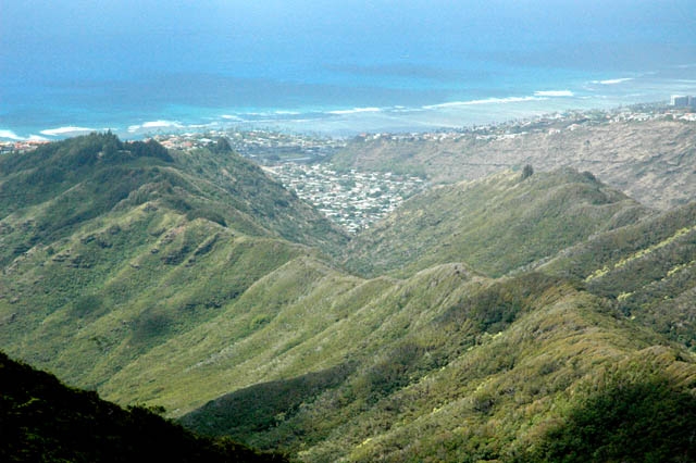 niuvalleypic2.jpg